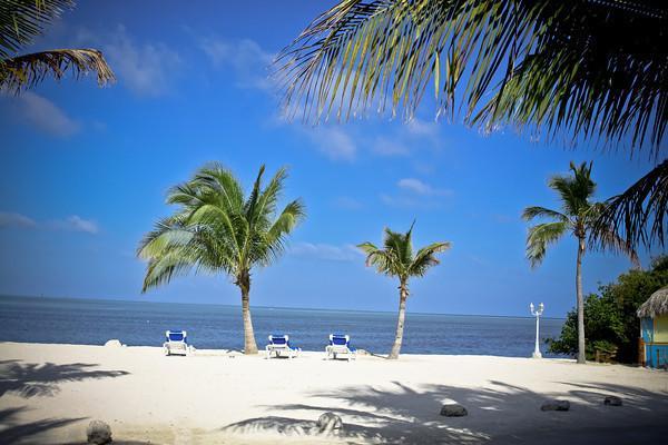 Coconut Cove Resort & Marina Islamorada Exteriör bild